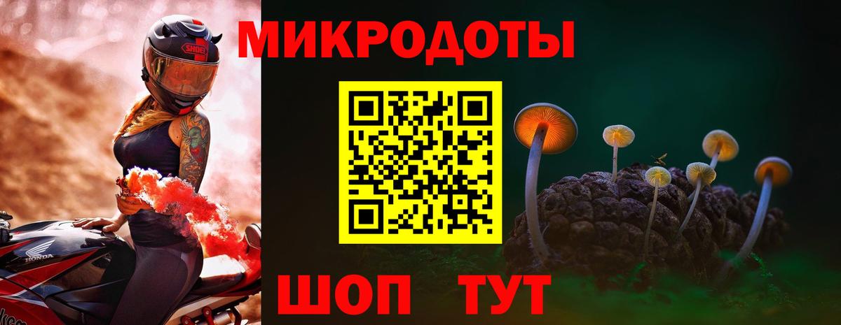 Грозный  Псилоцибиновые грибы GOLDEN TEACHER  Вход с VPN 
